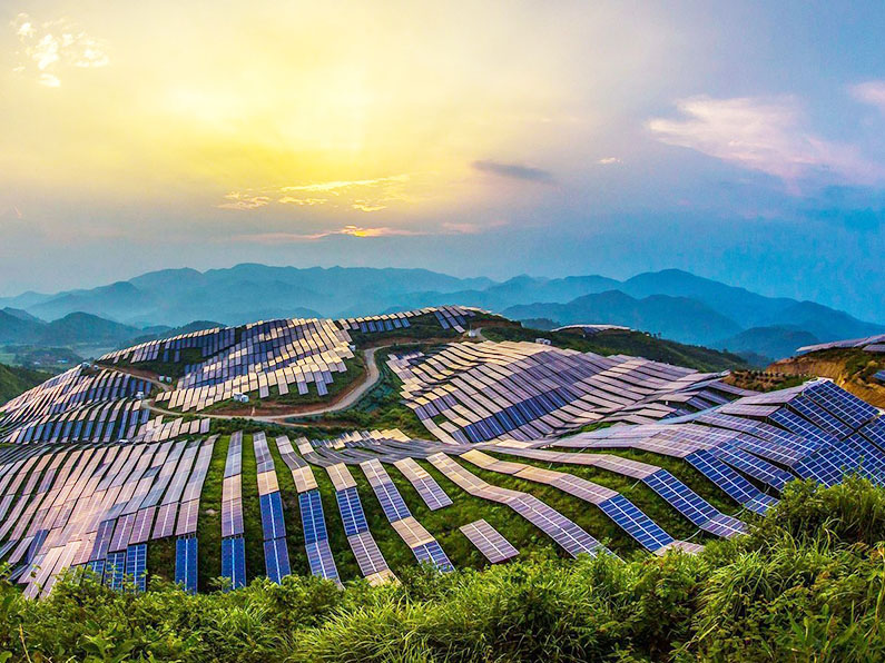 Sunetraco has won the trust and praise of the Vietnamese Market With 50MW